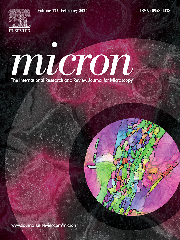 Go to journal home page - Micron